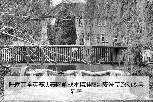 陈雨菲全英赛决赛网前战术精准限制安洗莹跑动效果显著