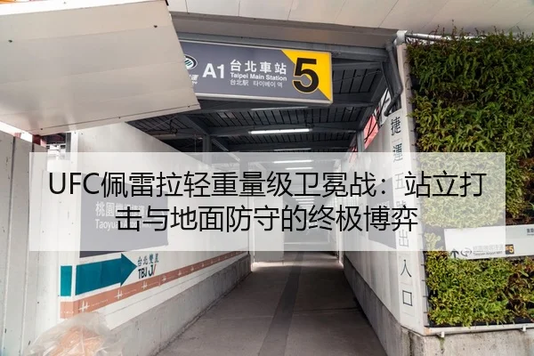 UFC佩雷拉轻重量级卫冕战：站立打击与地面防守的终极博弈