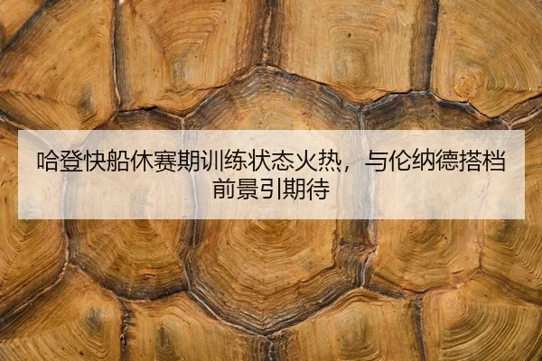 ha-deng-kuai-chuan-xiu-sai-qi-xun-lian-zhuang-tai-huo-re-yu-lun-na-de-da-dang-qian-jing-yin-qi-dai-2-119.jpg