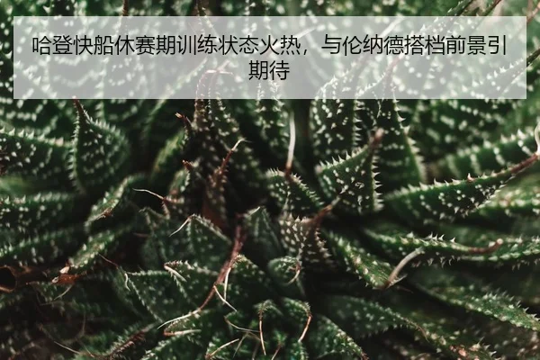 ha-deng-kuai-chuan-xiu-sai-qi-xun-lian-zhuang-tai-huo-re-yu-lun-na-de-da-dang-qian-jing-yin-qi-dai-3-206.jpg