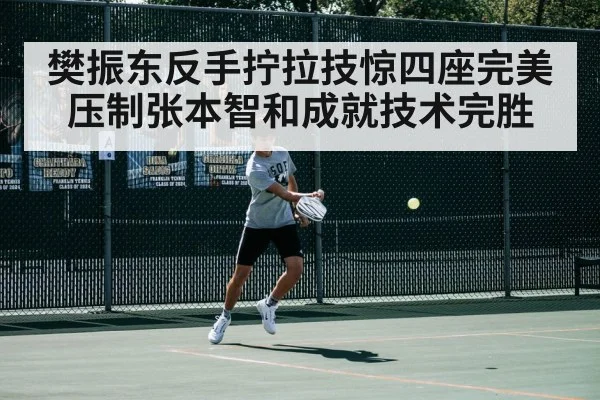 樊振东反手拧拉技惊四座完美压制张本智和成就技术完胜