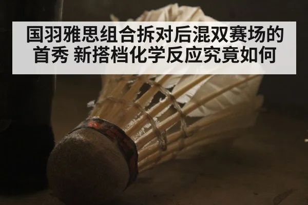 国羽雅思组合拆对后混双赛场的首秀 新搭档化学反应究竟如何
