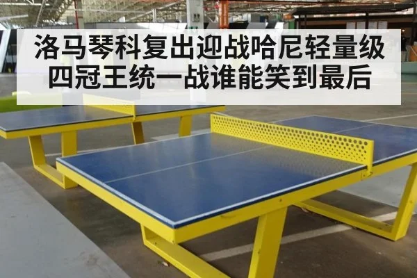 洛马琴科复出迎战哈尼轻量级四冠王统一战谁能笑到最后