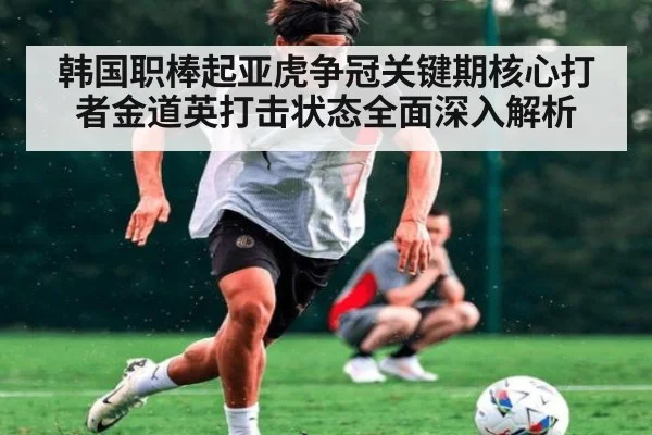 韩国职棒起亚虎争冠关键期核心打者金道英打击状态全面深入解析