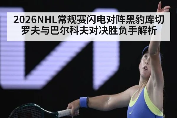 2026NHL常规赛闪电对阵黑豹库切罗夫与巴尔科夫对决胜负手解析